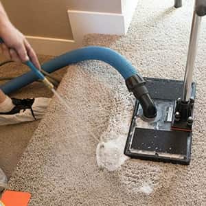 Carpet Sanitization Fiveways